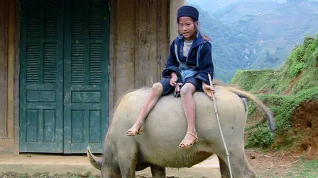 Buffalo Boy