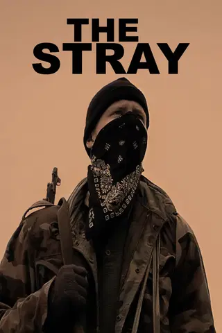 The Stray