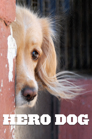 Hero Dog