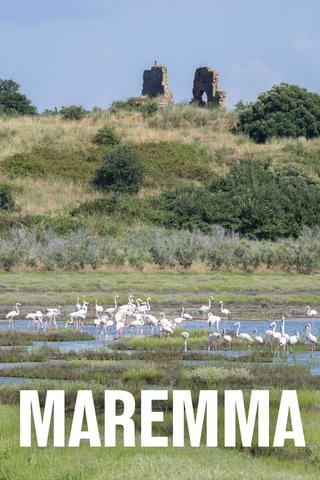 Maremma