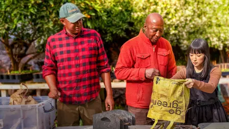 Sparking Joy with Marie Kondo