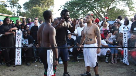Dawg Fight