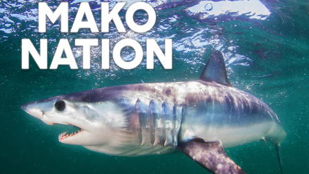 Mako Nation