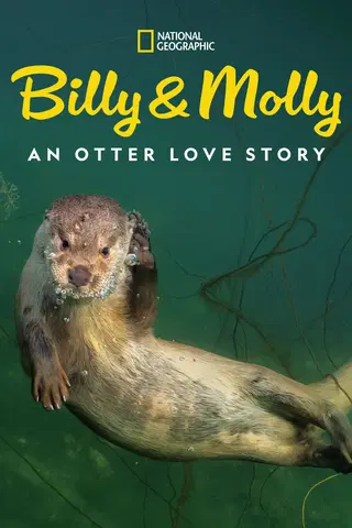 Billy & Molly: An Otter Love Story