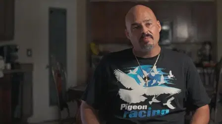 The Pigeon People
