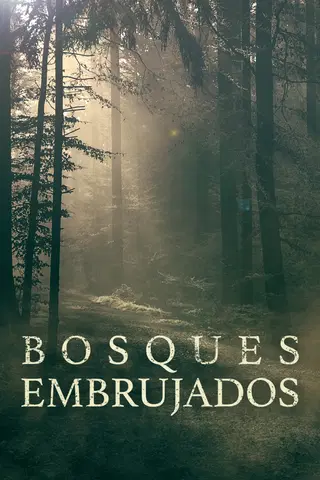 Este bosque está embrujado