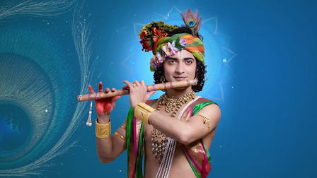 Krishna Leela