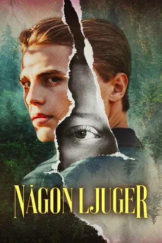 Någon ljuger