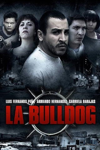 Los Hijos De La Bulldog