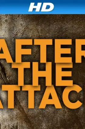 After the Attack