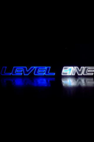 Level One