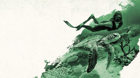 Deep Dive Australia