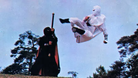 Thunder Ninja Kids: Wonderful Mission