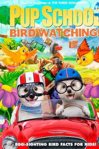 Pup School: Bird Watching