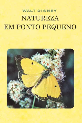 Natureza em Ponto Pequeno