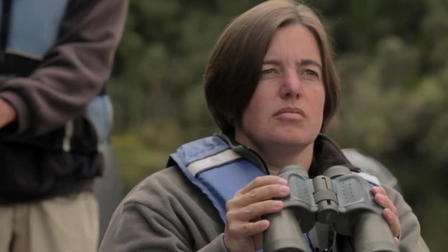 New Zealand from Above