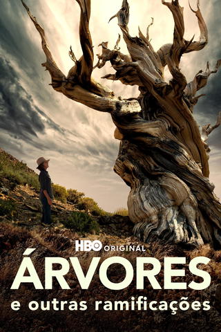 Árvores e Outras Ramificações