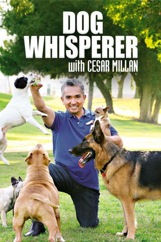Hundehviskeren