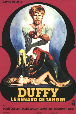 Duffy, le renard de Tanger