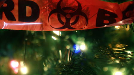 A Quarantined Christmas