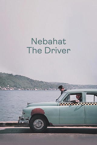 Nebahat The Driver