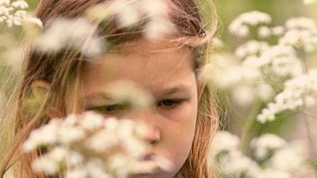 Ormtyglar + Alla döda små djur