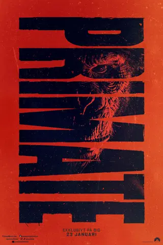 Primate