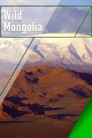 Wild Mongolia
