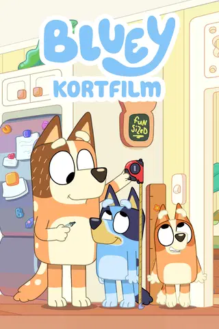 Bluey Kortfilm
