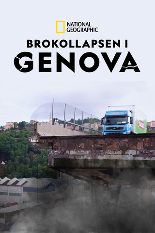 Genoa Bridge Disaster