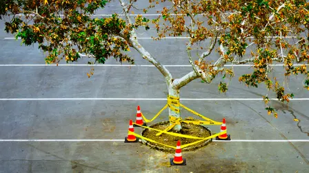 Sick Amour: A Love Story