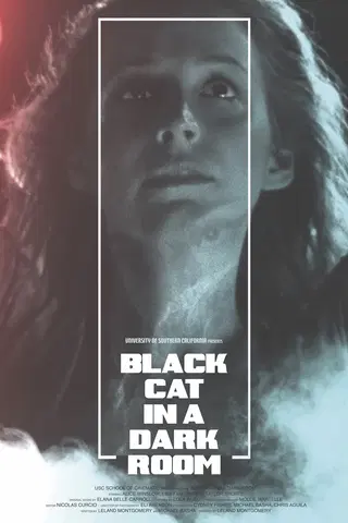 Black Cat In a Dark Room