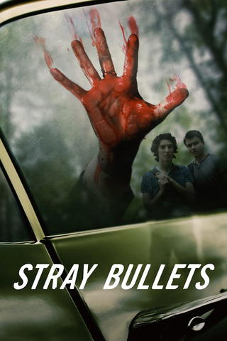 Stray Bullets