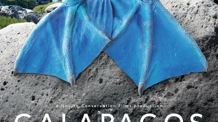 Galapagos: Hope for the Future