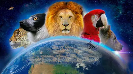 Wonderful World