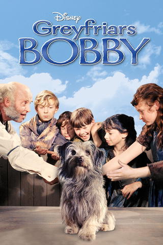 Bobby De Greyfriars