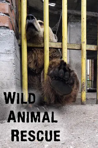 Wild Animal Rescue