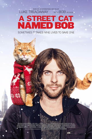 Gatukatten Bob