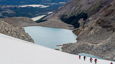 Patagonia Wings