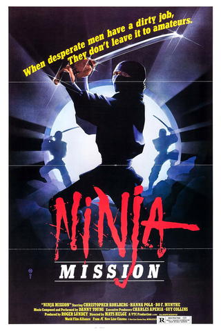 Ninja - In geheimer Mission