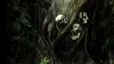 Secrets In The Jungle