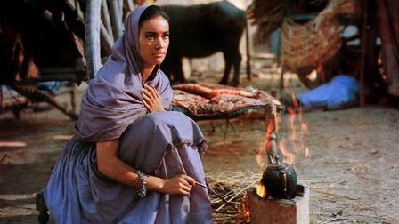 The Mystery of the Indian Temple