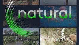 Natural