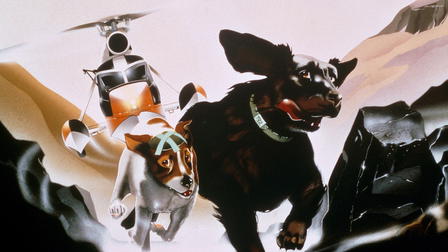 Los perros de la plaga
