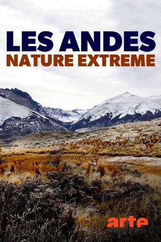 The Wild Andes