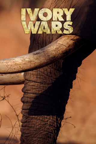Ivory Wars