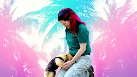 Secrets of the Zoo: Tampa