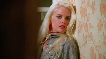 Eleven Days, Eleven Nights 2