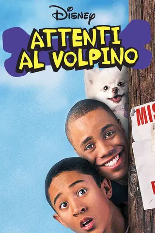 Attenti al volpino