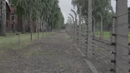 Horrors of the Holocaust